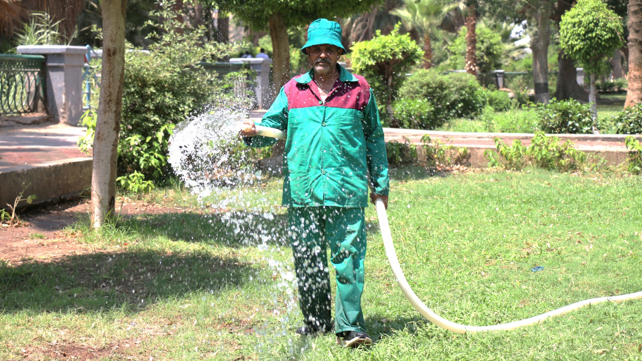 Public greenery irrigation in the Nile corniche of Cairo, Egypt_